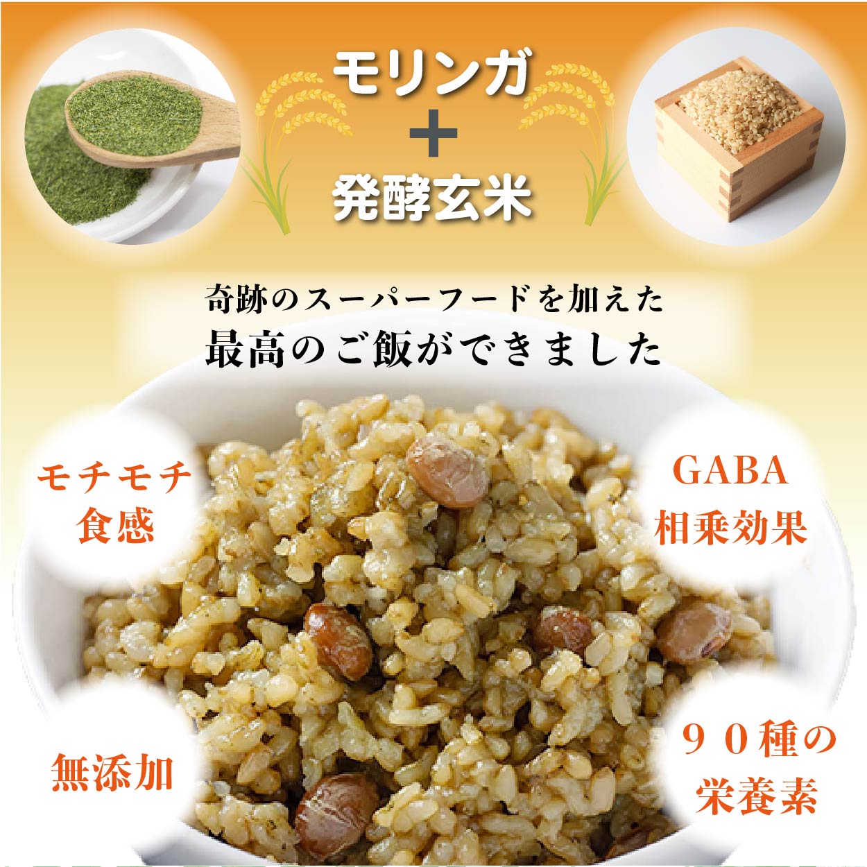 モリンガ発芽玄米ご飯(機能性表示食品) 1食分125g×24 (定価9860円)